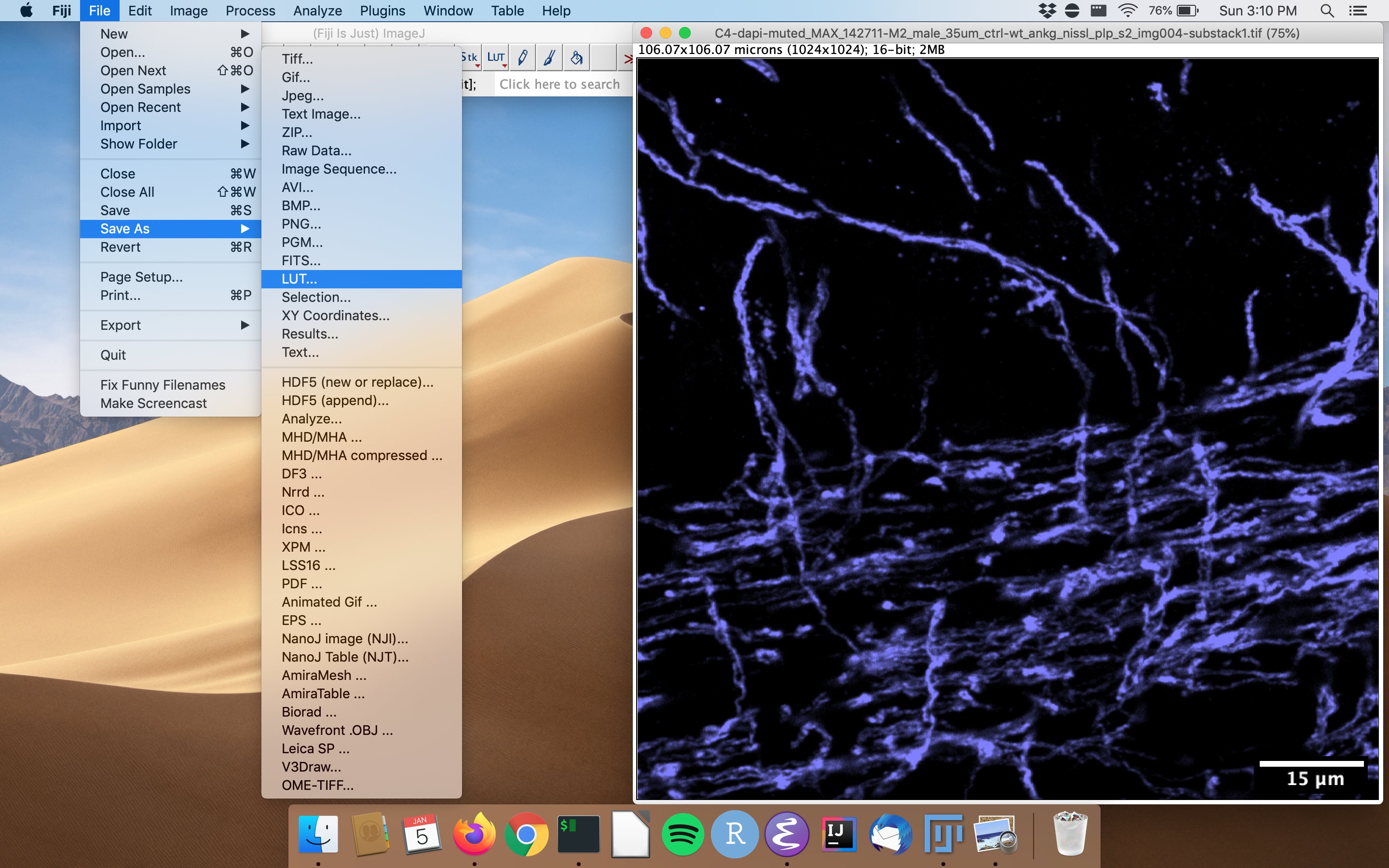 saving an image as a LUT in ImageJ
