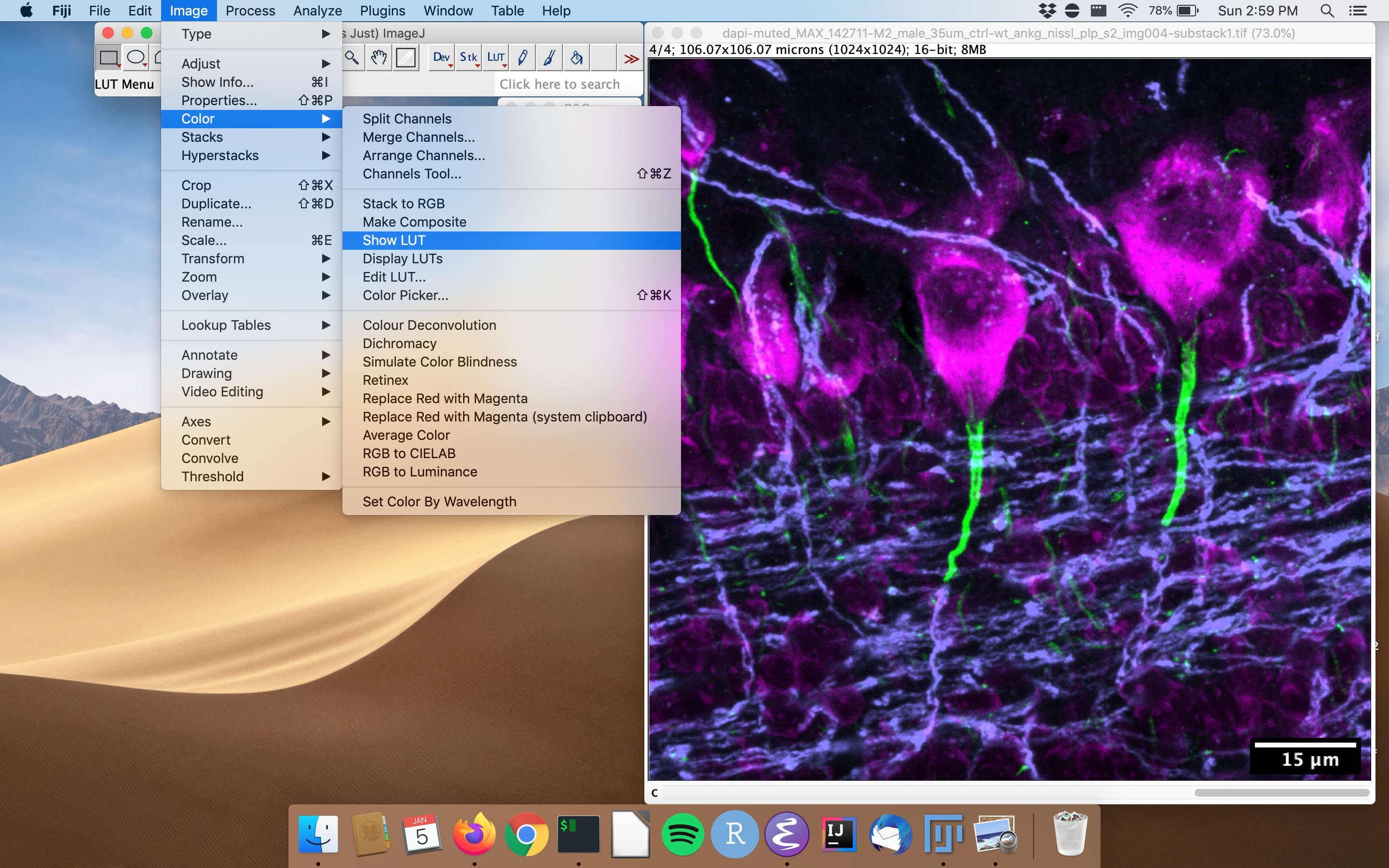 how to display a LUT in imagej